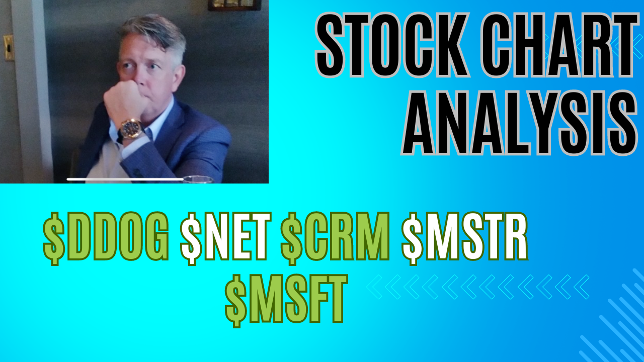 sector rotation into software stocks