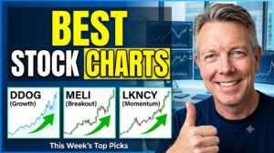 Best Stock Charts This Week: Technical Breakdown of DDOG, LKNCY, MELI, BLK, & CCB